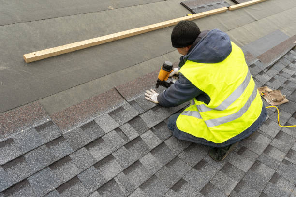 Best Metal Roofing Contractor  in Springfield, SD