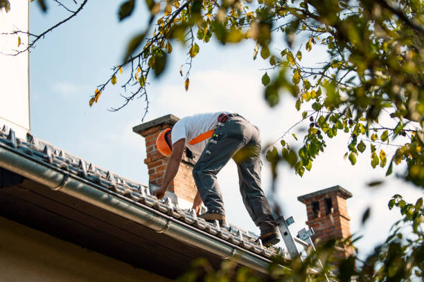 Best Tile Roofing Contractor  in Springfield, SD